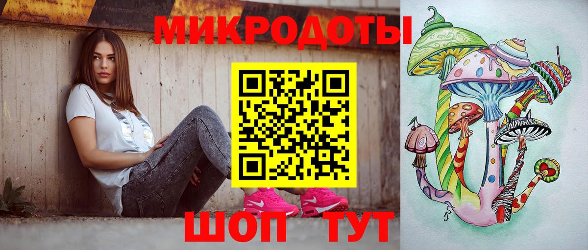 Псилоцибиновые грибы Psilocybine cubensis Коломна