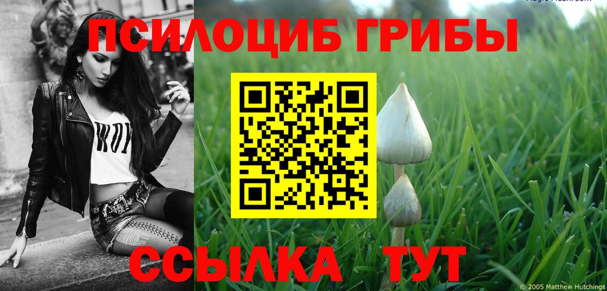 Псилоцибиновые грибы ЛСД  Галлюциногенные грибы Magic Shrooms  Коломна  Вход с VPN 